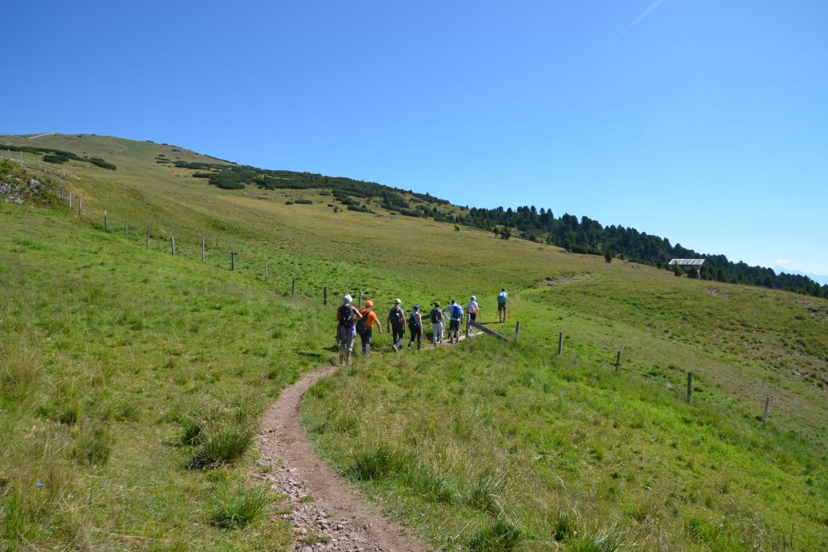 Latschenoelbrennerei und Platzer Alm 23.07.2019